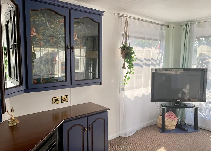 Lucy Duzy Kempingowy - Camp Spot 营地 *